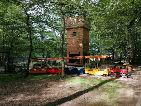 Märchenorte im Wald